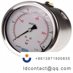 7075597_WIKA Stainless Steel Pointe